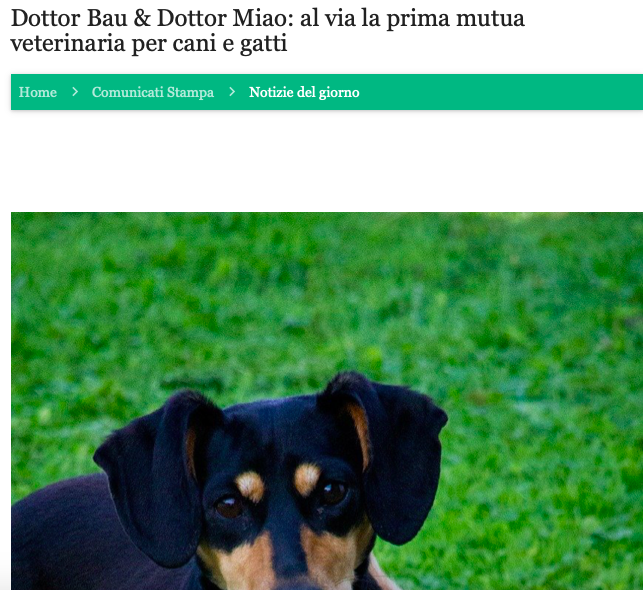 MIAV-la-rosa-le-ultime-notizie