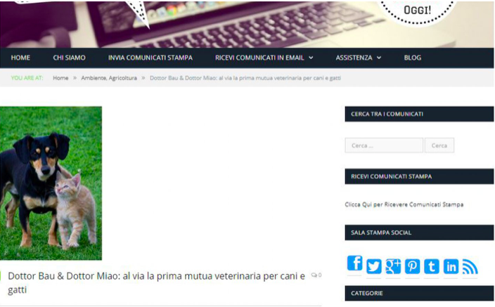 MIAV- Comunicati Stampa